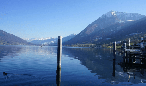 Täglich frischer Fisch aus dem Zugersee