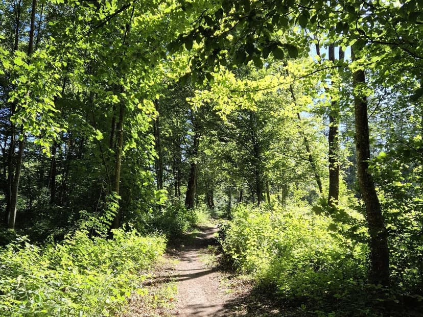 Der Weg ist das Ziel