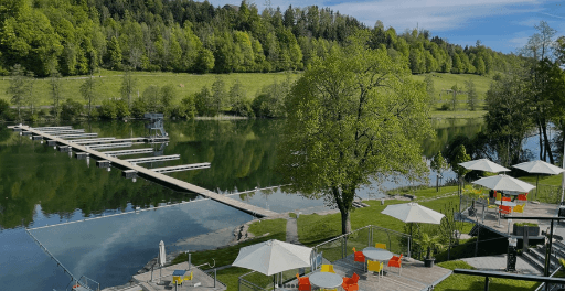Freizeit am- und im Rotsee